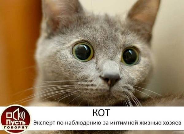 http://upforme.ru/uploads/0004/02/e8/1734/t19625.jpg