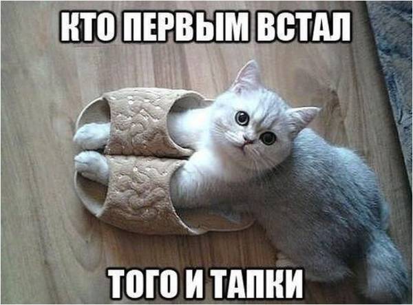 http://upforme.ru/uploads/0004/02/e8/1734/t200515.jpg