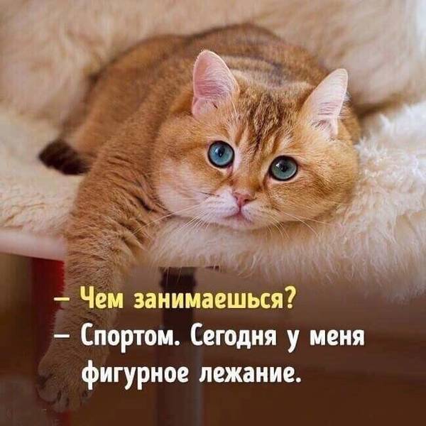 http://upforme.ru/uploads/0004/02/e8/1734/t20676.jpg