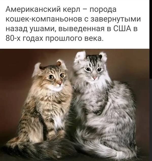 http://upforme.ru/uploads/0004/02/e8/1734/t207112.jpg
