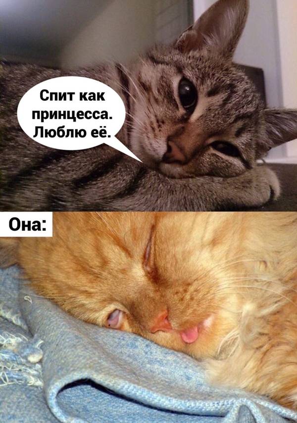 http://upforme.ru/uploads/0004/02/e8/1734/t212379.jpg