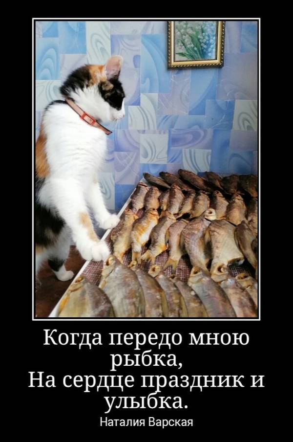 http://upforme.ru/uploads/0004/02/e8/1734/t212420.jpg