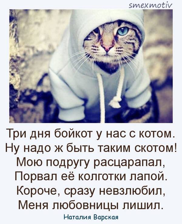 http://upforme.ru/uploads/0004/02/e8/1734/t21904.jpg