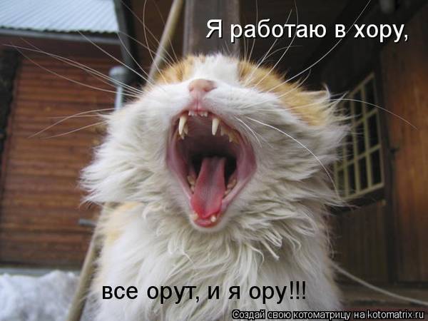 http://upforme.ru/uploads/0004/02/e8/1734/t21935.jpg