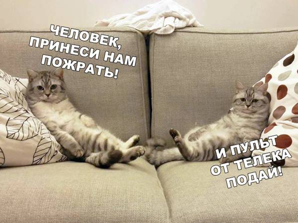http://upforme.ru/uploads/0004/02/e8/1734/t22486.jpg