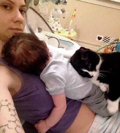 http://upforme.ru/uploads/0004/02/e8/1734/t23015.jpg