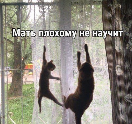 http://upforme.ru/uploads/0004/02/e8/1734/t235432.jpg