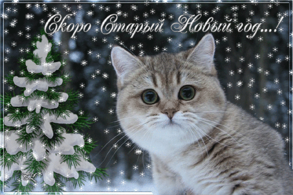 http://upforme.ru/uploads/0004/02/e8/1734/t24417.gif