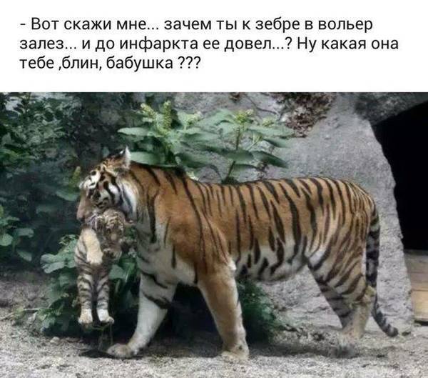 http://upforme.ru/uploads/0004/02/e8/1734/t245407.jpg