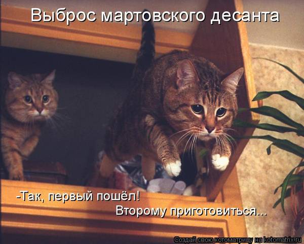 http://upforme.ru/uploads/0004/02/e8/1734/t24823.jpg
