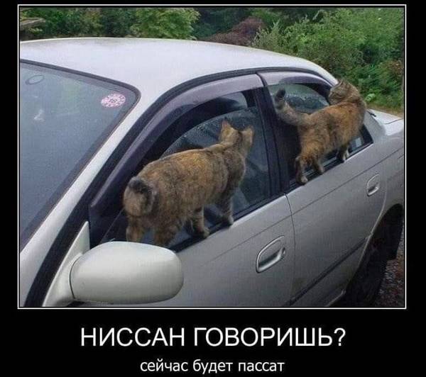 http://upforme.ru/uploads/0004/02/e8/1734/t25145.jpg