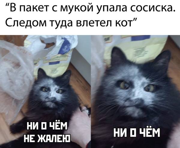 http://upforme.ru/uploads/0004/02/e8/1734/t251602.jpg