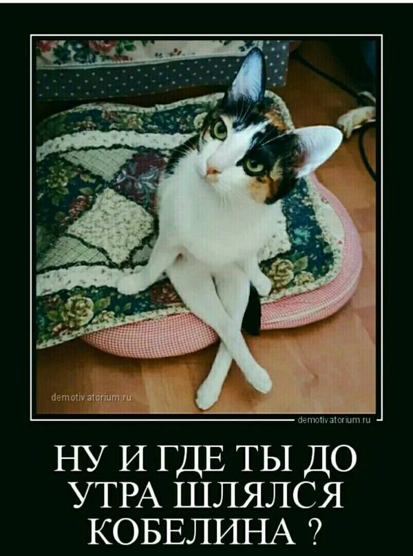 http://upforme.ru/uploads/0004/02/e8/1734/t253197.jpg