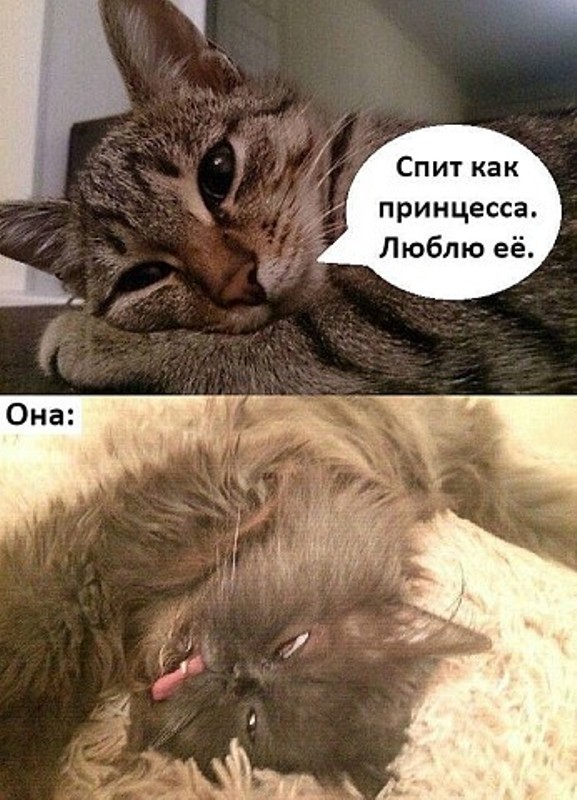 http://upforme.ru/uploads/0004/02/e8/1734/t253833.jpg