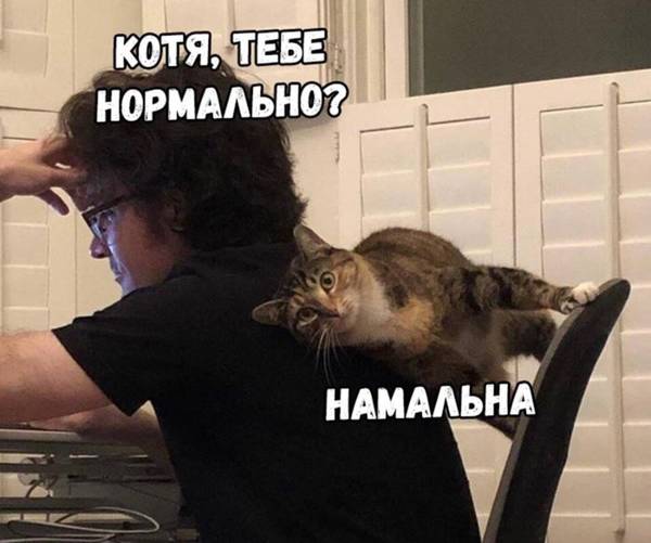 http://upforme.ru/uploads/0004/02/e8/1734/t254903.jpg