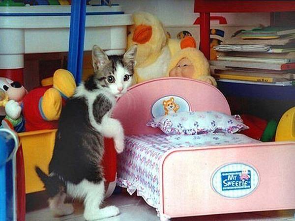 http://upforme.ru/uploads/0004/02/e8/1734/t25722.jpg