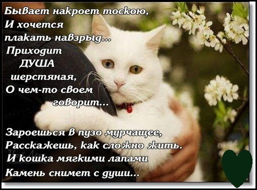http://upforme.ru/uploads/0004/02/e8/1734/t259916.jpg