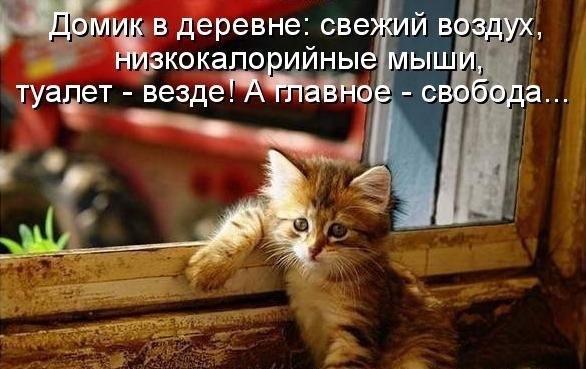 http://upforme.ru/uploads/0004/02/e8/1734/t261770.jpg