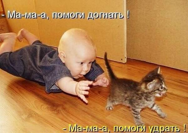 http://upforme.ru/uploads/0004/02/e8/1734/t26341.jpg