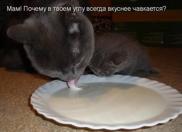 http://upforme.ru/uploads/0004/02/e8/1734/t271740.jpg