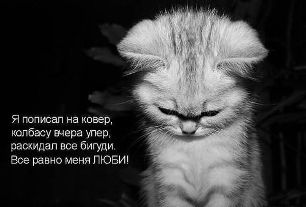 http://upforme.ru/uploads/0004/02/e8/1734/t275360.jpg