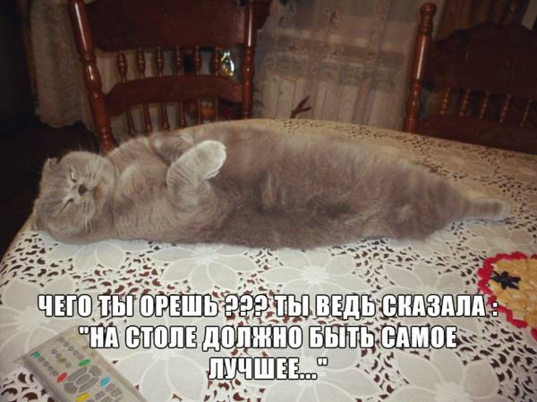 http://upforme.ru/uploads/0004/02/e8/1734/t27583.jpg