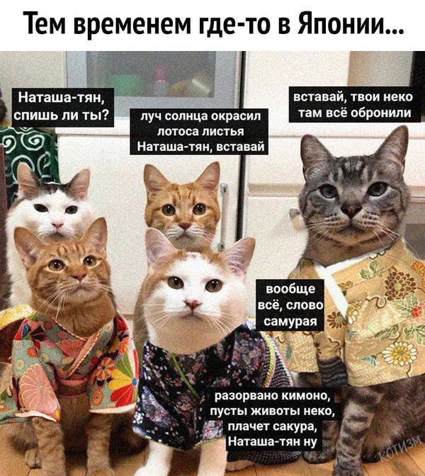 http://upforme.ru/uploads/0004/02/e8/1734/t27828.jpg
