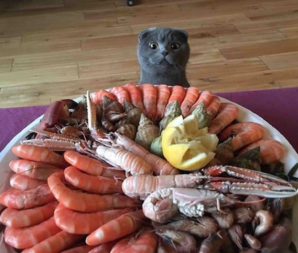 http://upforme.ru/uploads/0004/02/e8/1734/t28416.jpg