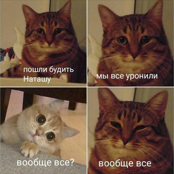http://upforme.ru/uploads/0004/02/e8/1734/t285016.jpg