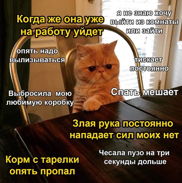 http://upforme.ru/uploads/0004/02/e8/1734/t28657.jpg