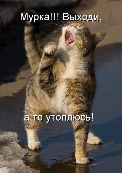 http://upforme.ru/uploads/0004/02/e8/1734/t29701.jpg