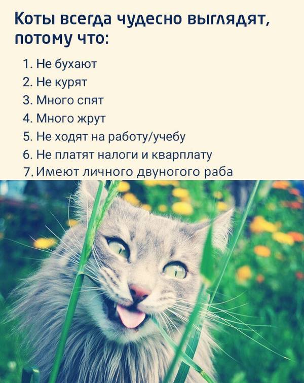 http://upforme.ru/uploads/0004/02/e8/1734/t30184.jpg