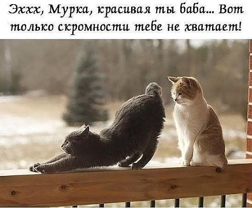 http://upforme.ru/uploads/0004/02/e8/1734/t30355.jpg
