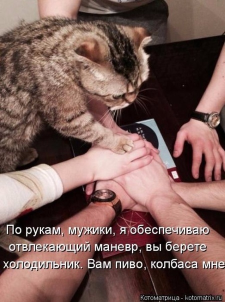http://upforme.ru/uploads/0004/02/e8/1734/t30480.jpg