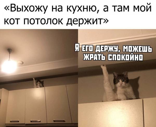http://upforme.ru/uploads/0004/02/e8/1734/t30647.jpg