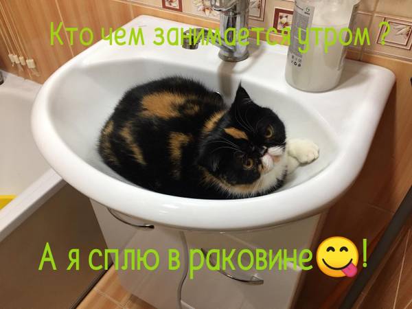 http://upforme.ru/uploads/0004/02/e8/1734/t30773.jpg
