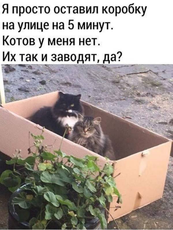 http://upforme.ru/uploads/0004/02/e8/1734/t30815.jpg