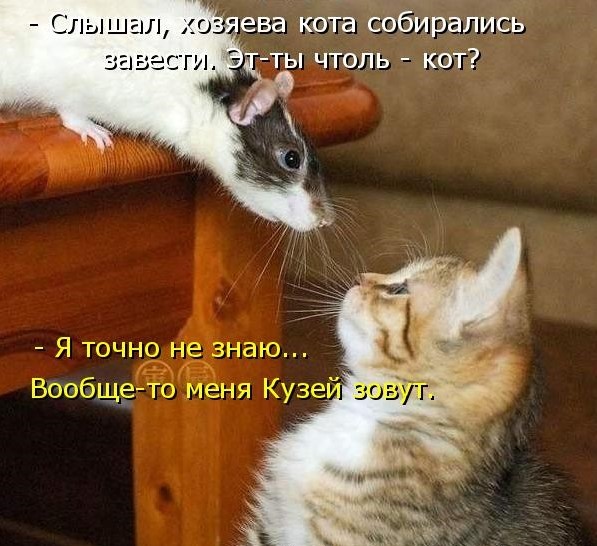 http://upforme.ru/uploads/0004/02/e8/1734/t311499.jpg