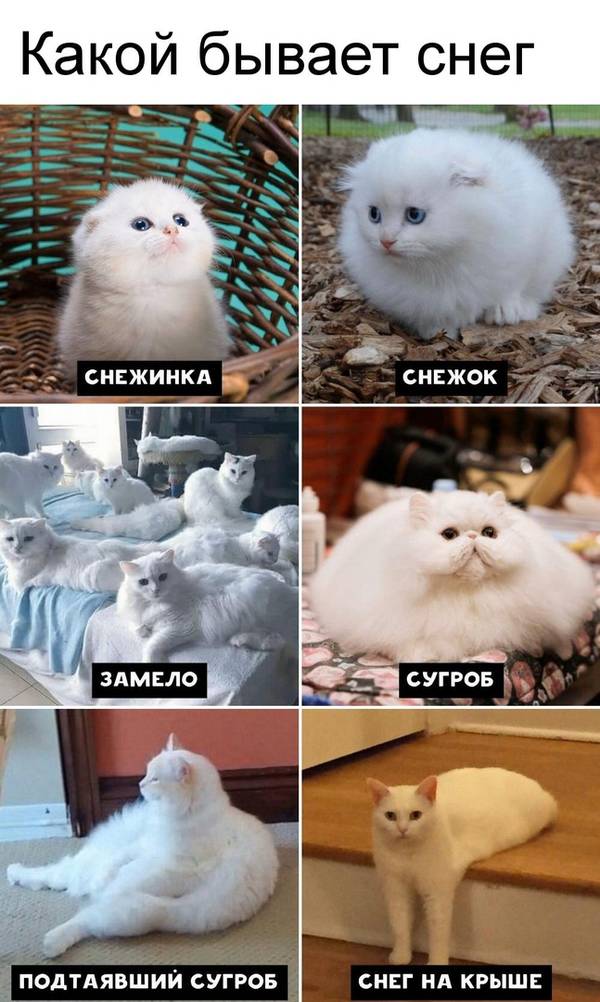 http://upforme.ru/uploads/0004/02/e8/1734/t31274.jpg