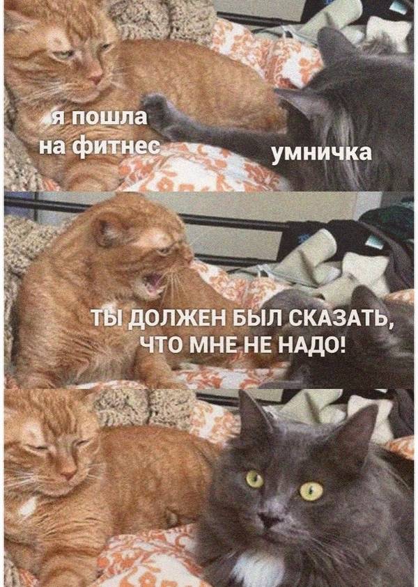 http://upforme.ru/uploads/0004/02/e8/1734/t314645.jpg