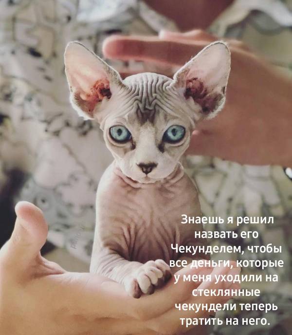 http://upforme.ru/uploads/0004/02/e8/1734/t31715.jpg