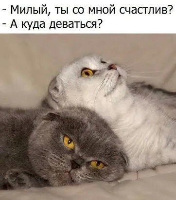 http://upforme.ru/uploads/0004/02/e8/1734/t31943.jpg