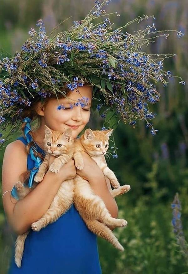 http://upforme.ru/uploads/0004/02/e8/1734/t325610.jpg
