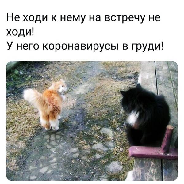 http://upforme.ru/uploads/0004/02/e8/1734/t327870.jpg