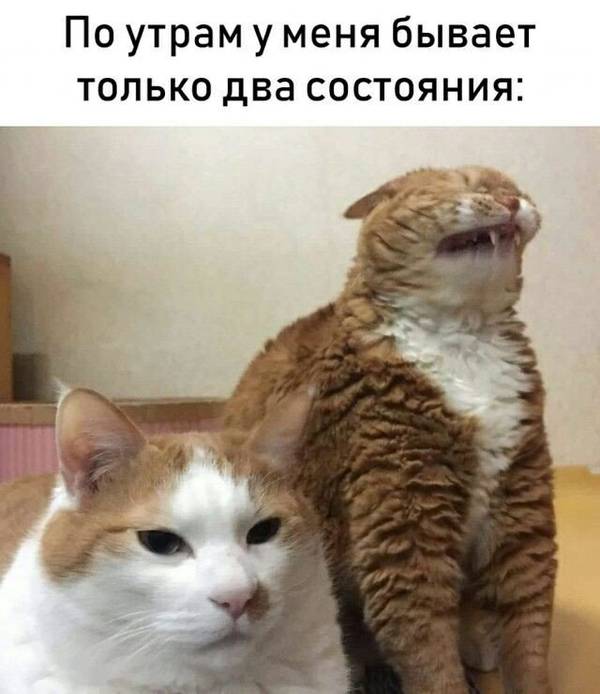 http://upforme.ru/uploads/0004/02/e8/1734/t33489.jpg