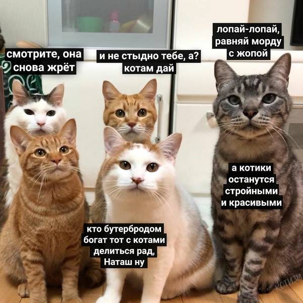 http://upforme.ru/uploads/0004/02/e8/1734/t336624.jpg