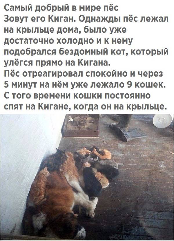 http://upforme.ru/uploads/0004/02/e8/1734/t33904.jpg