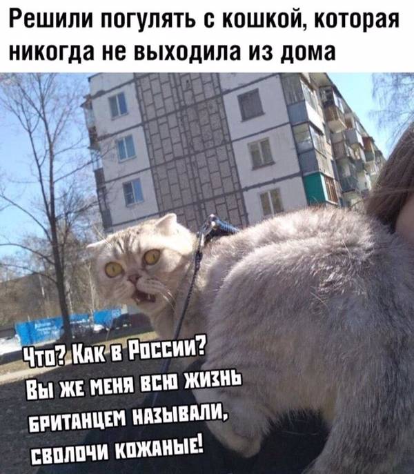http://upforme.ru/uploads/0004/02/e8/1734/t33913.jpg