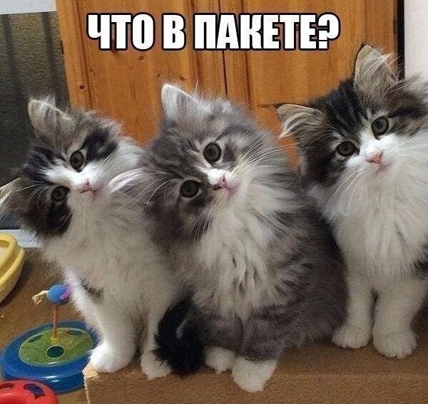 http://upforme.ru/uploads/0004/02/e8/1734/t34328.jpg