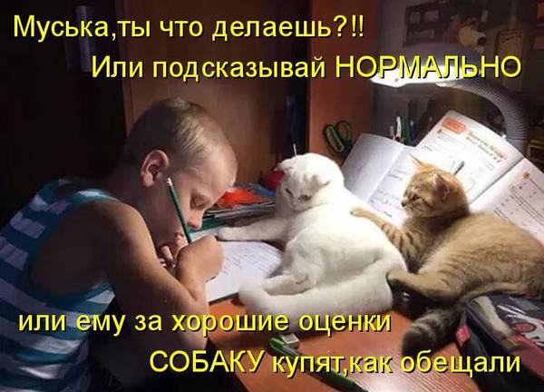 http://upforme.ru/uploads/0004/02/e8/1734/t343760.jpg